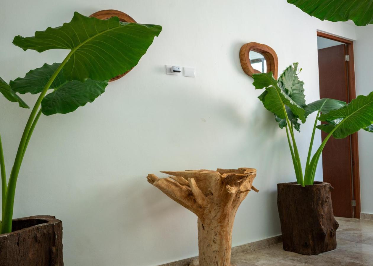 Recamara 1 Cancún Eksteriør bilde